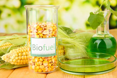 Newbiggin biofuel availability